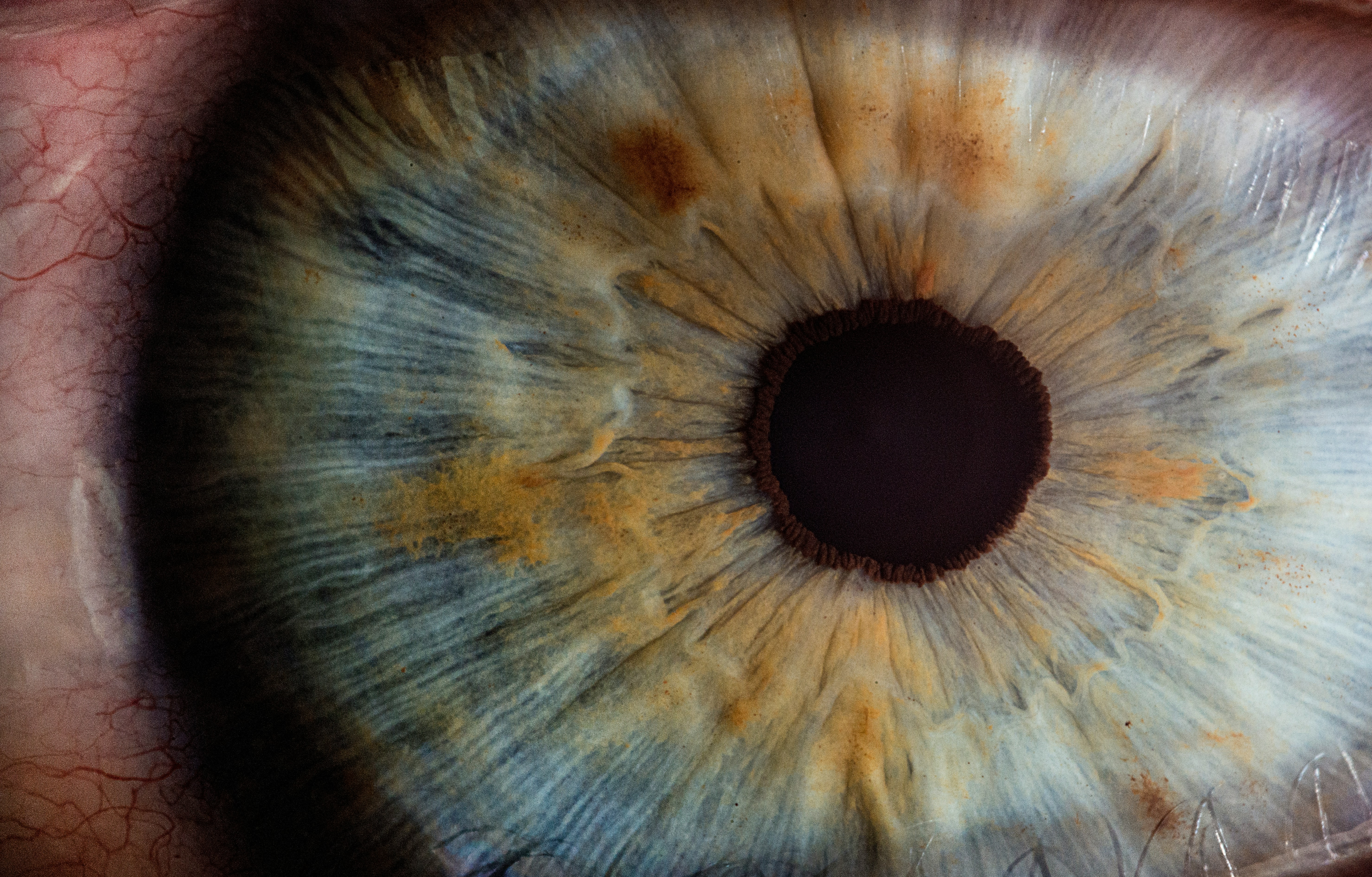 Macro photograph of a human iris — the biological aperture through which 10 million bits per second enter, and only 10 reach consciousness