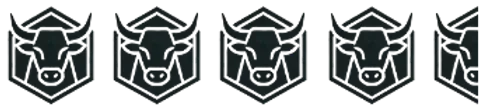 Row of black bull head icons in hexagon badges, representing the bull case