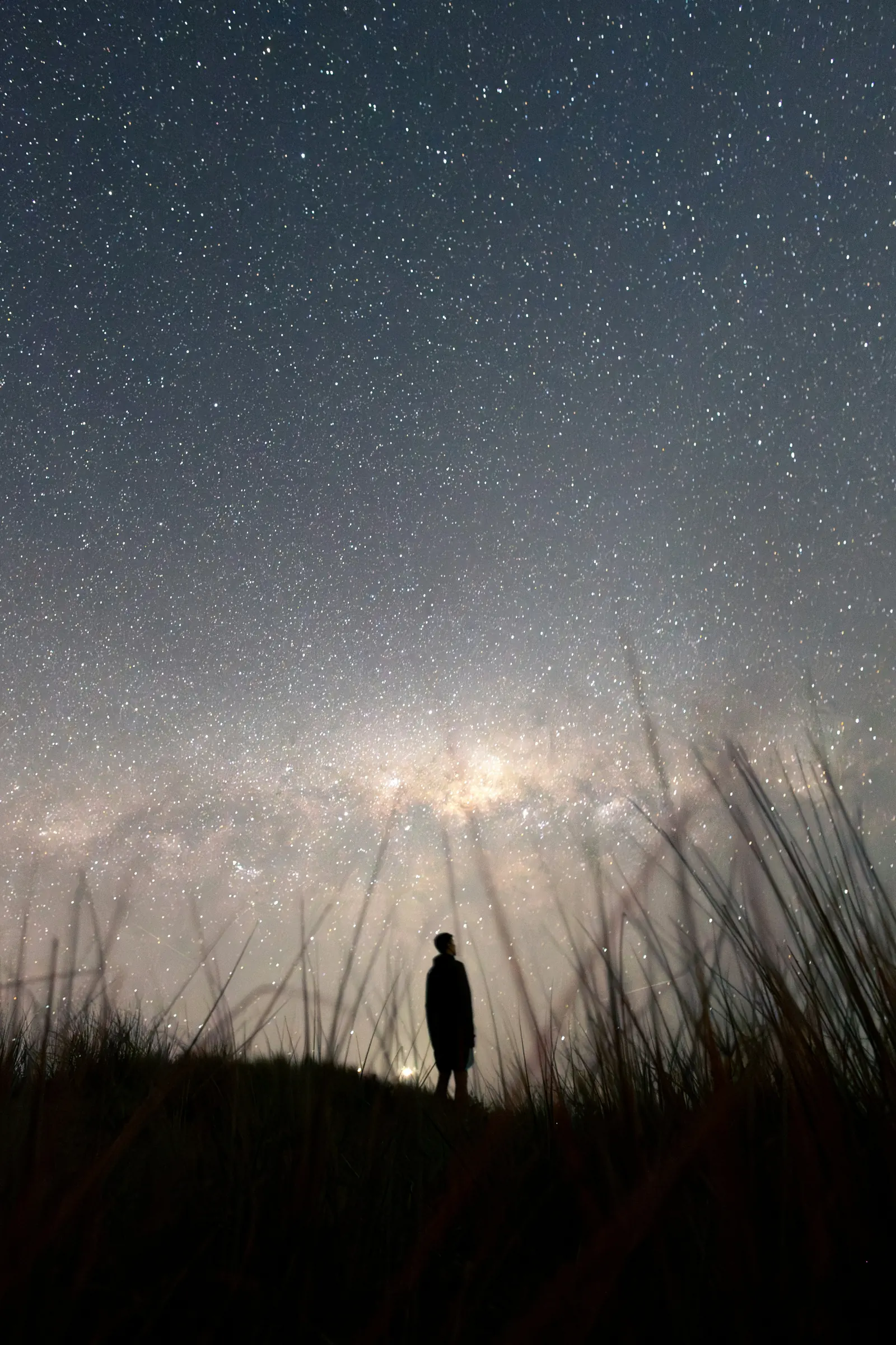 A single figure silhouetted against a vast starfield: a tiny conscious processor facing an incomprehensible volume of information